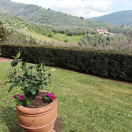 Villa Camelia Tuscany Pescia Zewnętrze zdjęcie